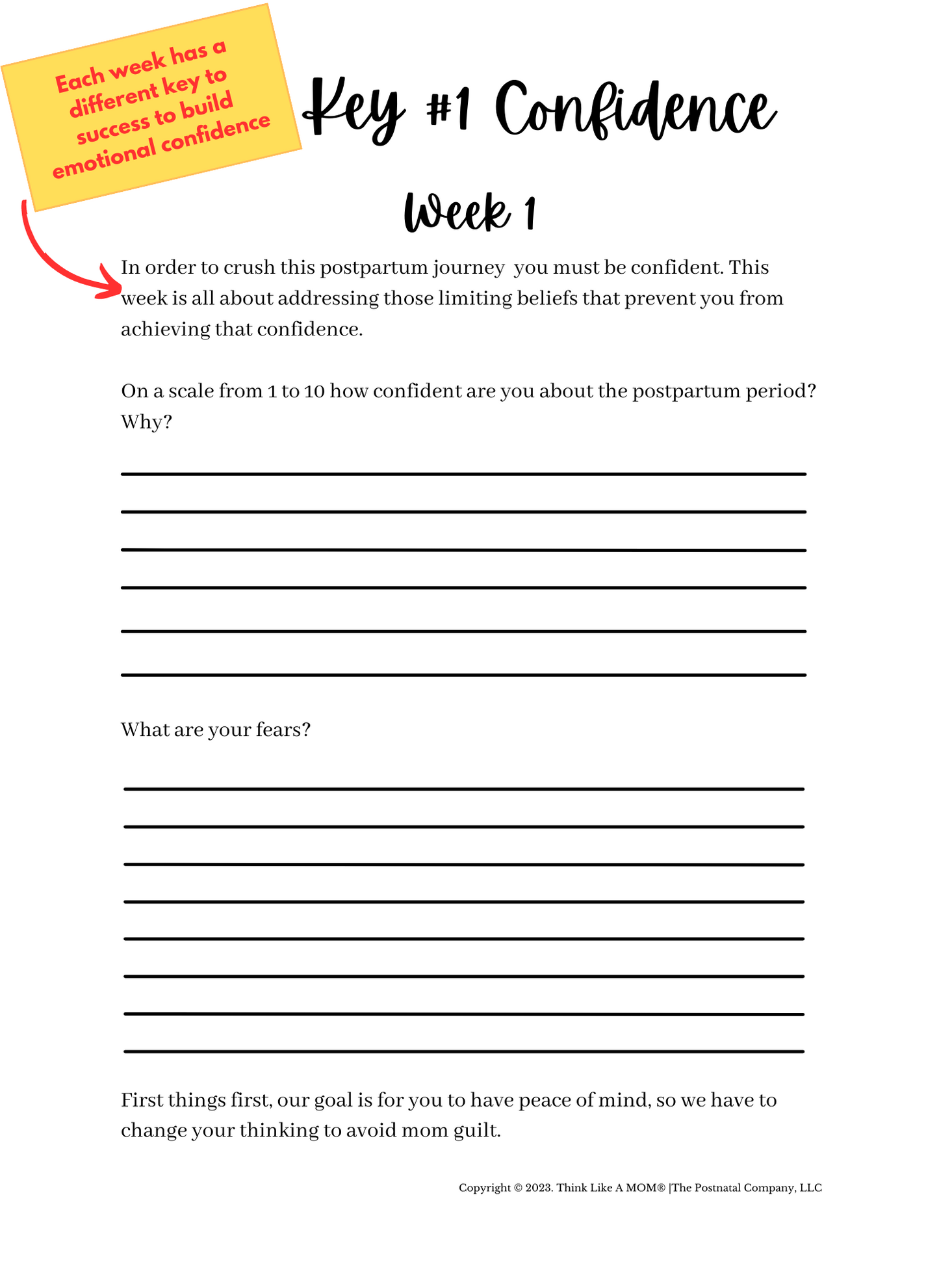 Postpartum Journal